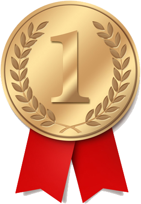 First Place - First Place Medal Png (450x614), Png Download