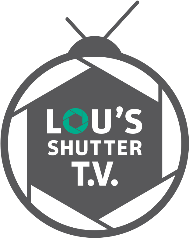 Lous Shutter B Grey - Art (800x800), Png Download