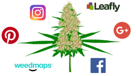 Cannabis Smm Consultant - Social Media Marketing (640x291), Png Download