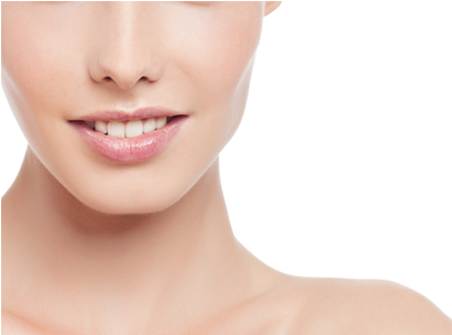 1 866 372 - Neck (650x301), Png Download