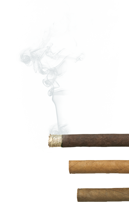 Master Blender Agio Cigars - Sketch (444x694), Png Download