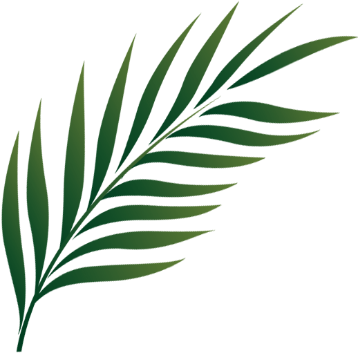 Palm Sunday Icon Png (575x575), Png Download
