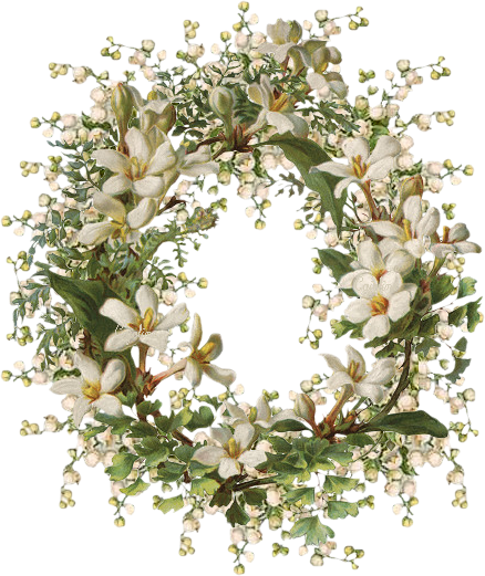 I - B - Pic - Centerblog - Net/8773c096 - Giclee Painting: Illustration Of Honeysuckle Border, (438x521), Png Download