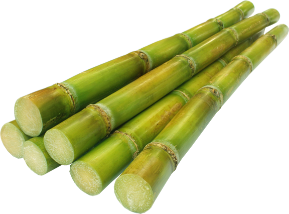 Learn More About Msugar - Major Crops Of Pakistan (576x426), Png Download