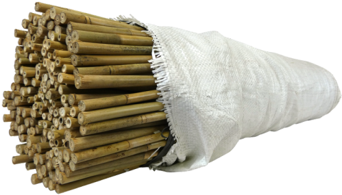 Umbrella (500x500), Png Download