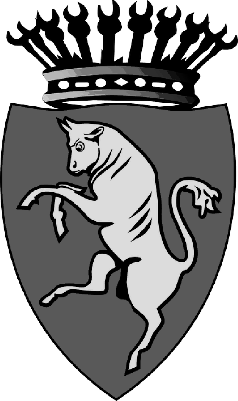 Mb Image/png - Torino Italy Logo (800x1347), Png Download