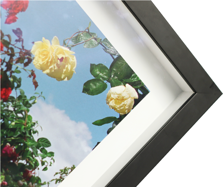 Corner Box Frame - Garden Roses (930x620), Png Download