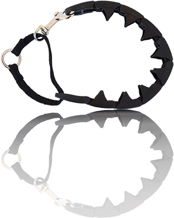 Pro-training Collar<span>®</span> - Starmark Collar (349x454), Png Download