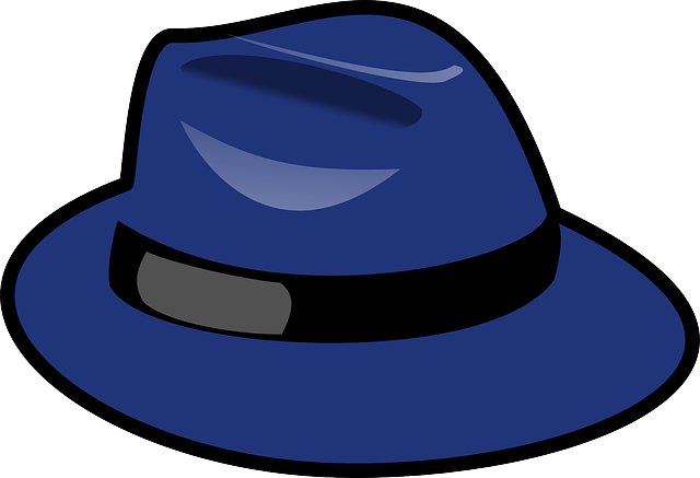 Black, Blue, People, Cartoon, Clothing, Hat, Hats - Fedora Clip Art (640x437), Png Download