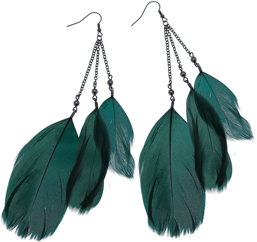Planescape Torment Clipart Feather - Feather Earrings Png (900x899), Png Download