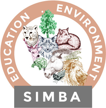 Frank Brown 34th International Singer Songwriters Festival (400x395), Png Download