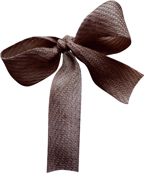 Brown Ribbon Png (500x600), Png Download