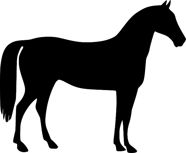 Transportation Horse, Gymnastic Horse, Animal, Riding, - Horse Vector (640x525), Png Download