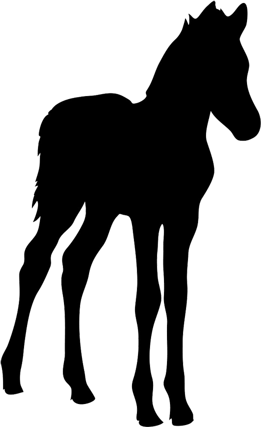 Horse Silhouette - Foal Silhouette (567x886), Png Download