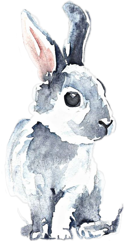 Bunny Aquarelle (480x931), Png Download