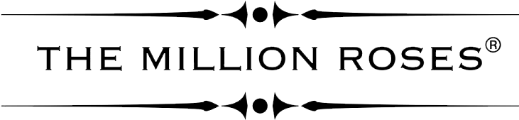 Coupon (910x400), Png Download