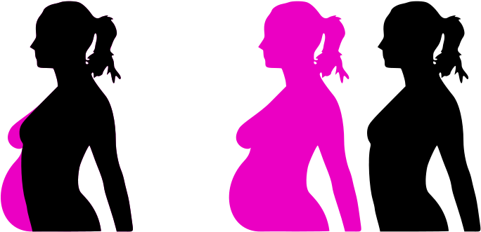 1 - Pregnant Clip Art (800x439), Png Download