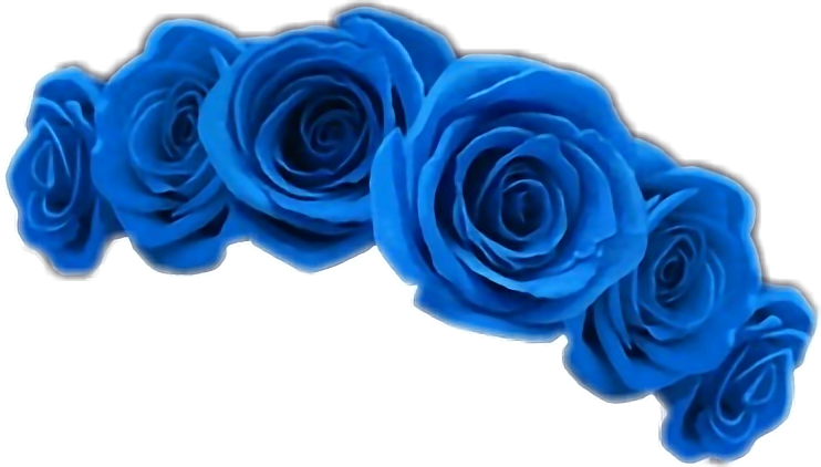 Report Abuse - Blue Flower Crown Transparent (742x422), Png Download