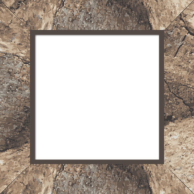 Photograph (500x500), Png Download