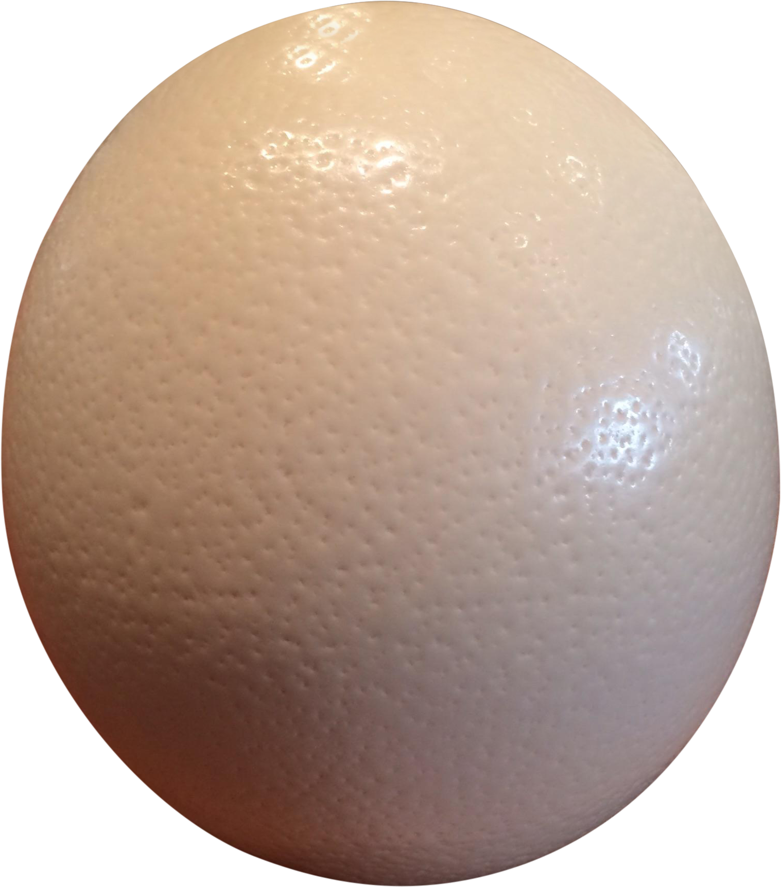 Ostrich Eggs Png Image Black And White Stock - Biohazard Icon (2272x2272), Png Download