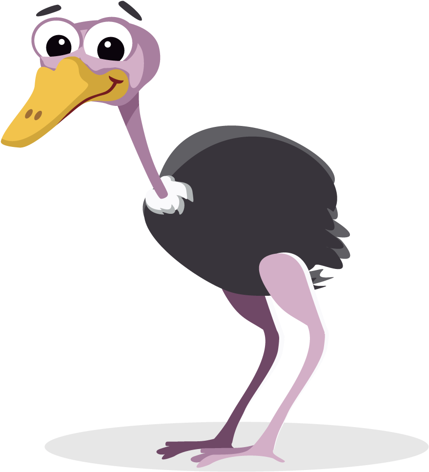 Will Fill The Weeks Ahead - Ostrich Clipart Png (1000x1000), Png Download