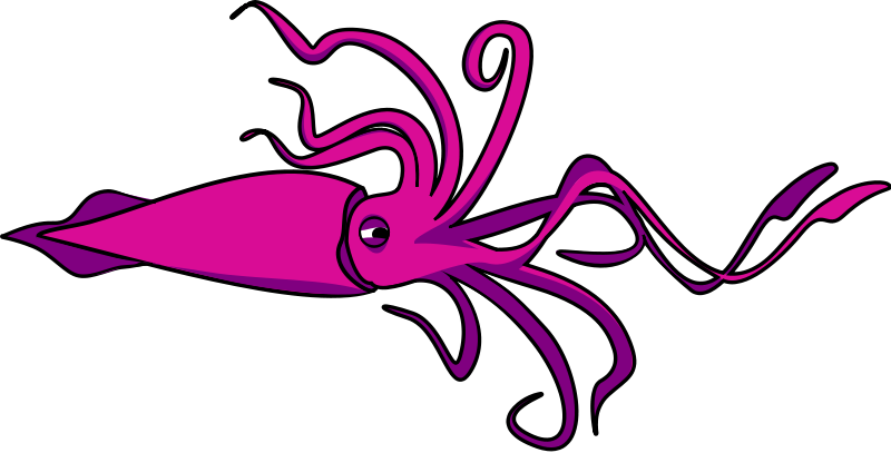 Squid Clipart (800x407), Png Download