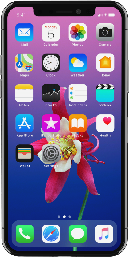 Iphone X Pictures Transparent Png Pictures - Iphone X (1920x1080), Png Download