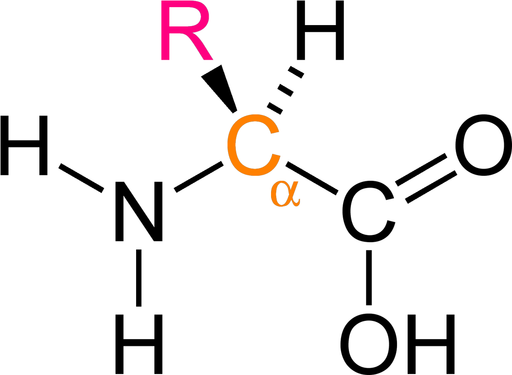 Alpha Amino Ac - N -( Phosphonomethyl Iminodiacetic Acid (1100x833), Png Download