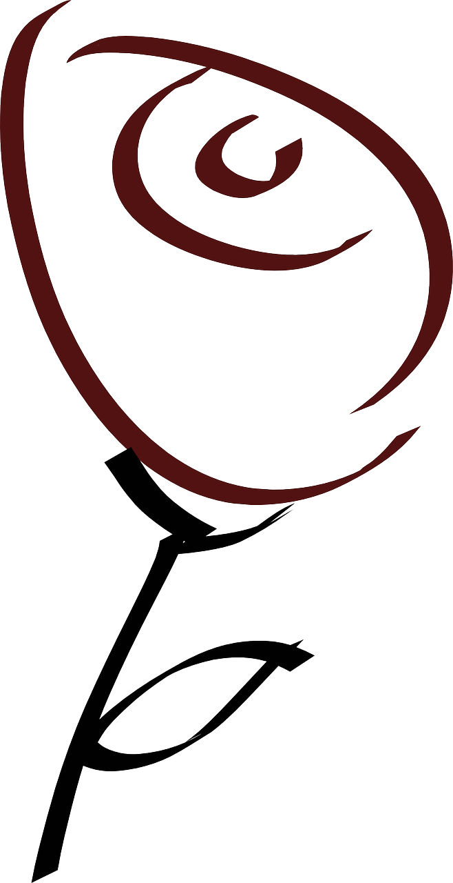 Cartoon - Line Art Rose Simple (335x651), Png Download