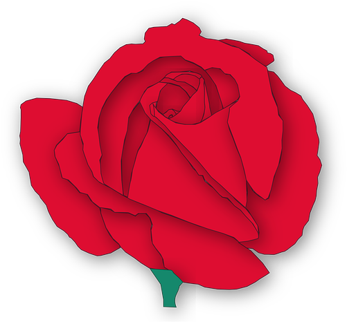 Cartoon Red Rose -flower Vector - Cartoon Rose With Transparent Background (634x640), Png Download