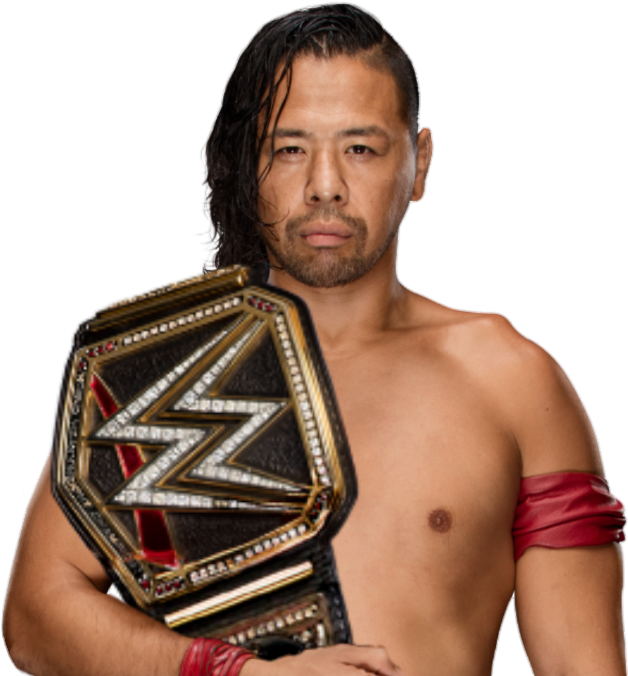 Apologize - Wwe Superstars With Championships (628x684), Png Download