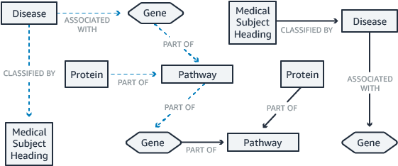 Neptune Diagram Life Sciences - Biology (603x272), Png Download