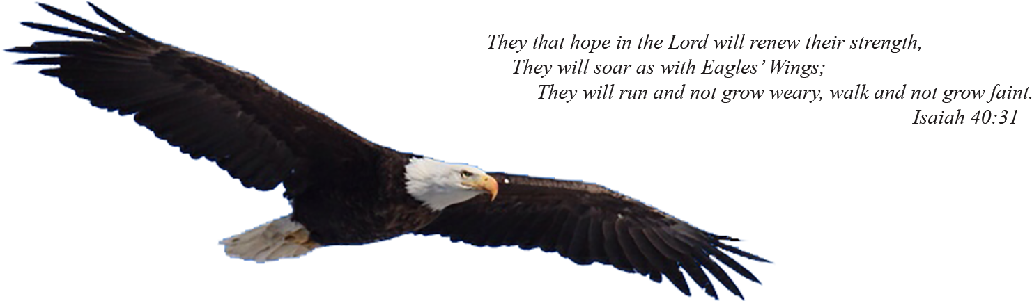 Christian Counseling * Spiritual Direction * Retreats - Eagles Wings (1540x460), Png Download