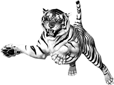 Jumping Tiger Clipart - Tiger Picture Black And White Transparent Background (400x400), Png Download