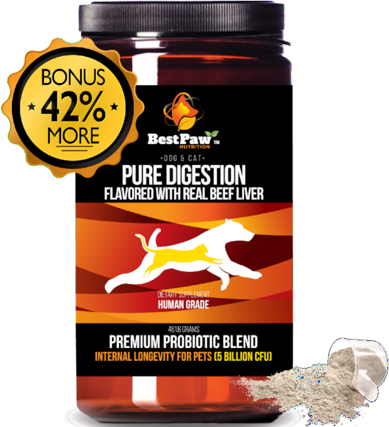 Organic Pre & Probiotics For Dogs And Cats Digestive - Pure Paw Nutrition Organic Anti-diarrhea Probiotics (600x600), Png Download