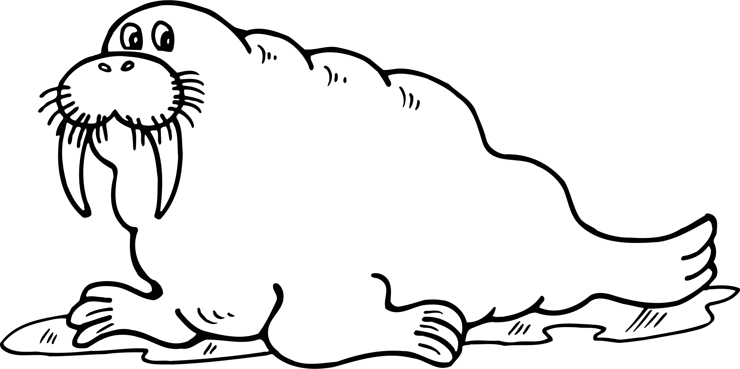 Walrus Png (2400x1198), Png Download