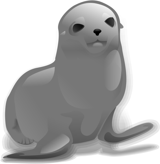 Walrus Clipart Sea Life - Seal Clip Art (623x640), Png Download