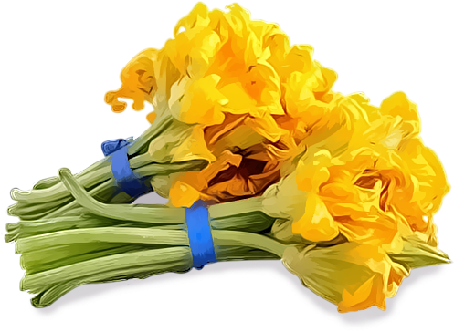 Flor De Calabaza, - Bouquet (500x500), Png Download