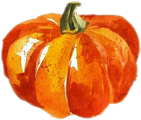 Cute Pumpkin Watercolor (602x510), Png Download