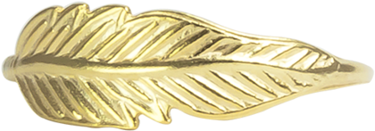 Gold Feather Ring - Gold Png Feather Designs (1024x1024), Png Download