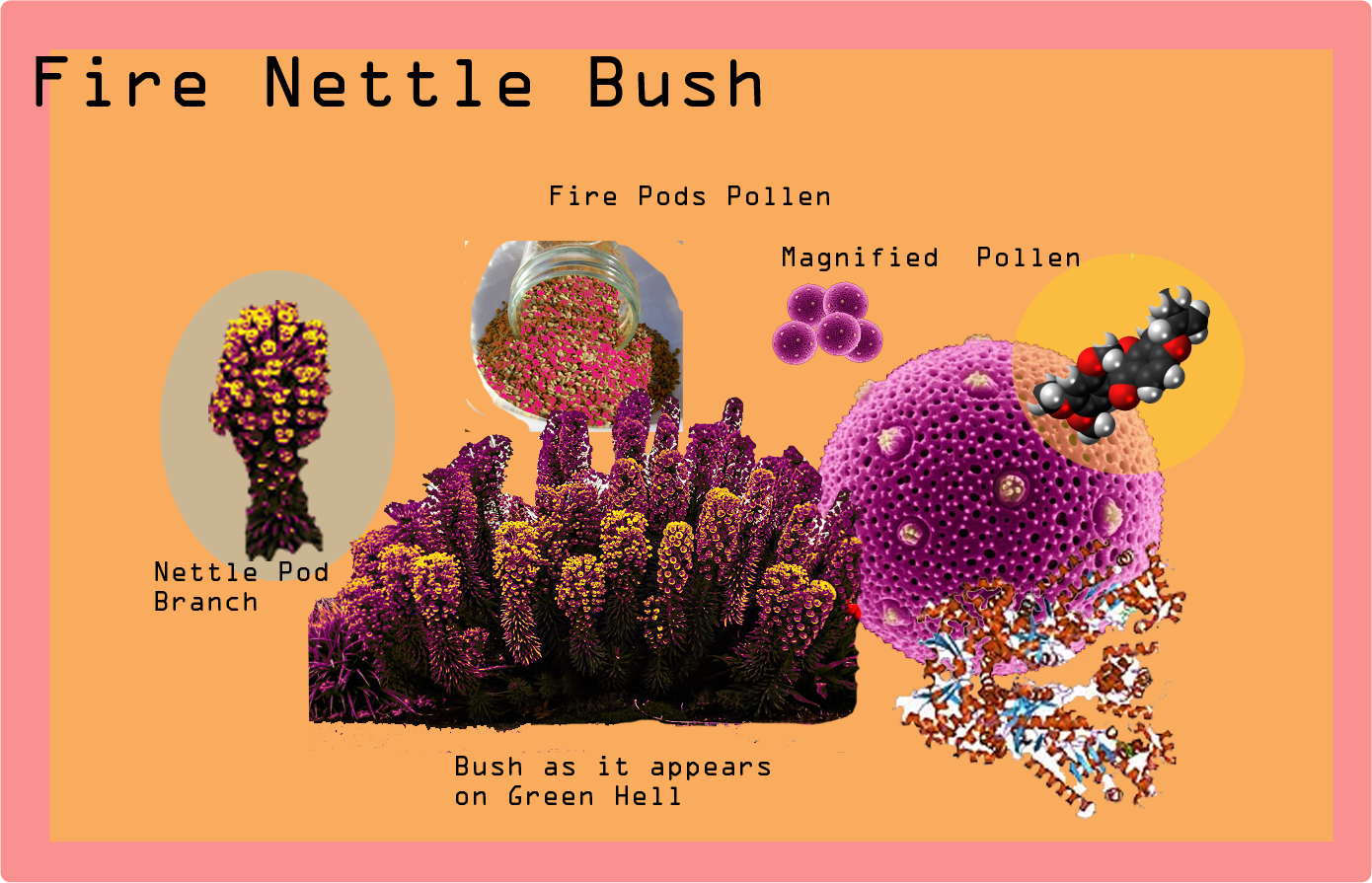 Fire Nettle Bush - Poster (1390x895), Png Download