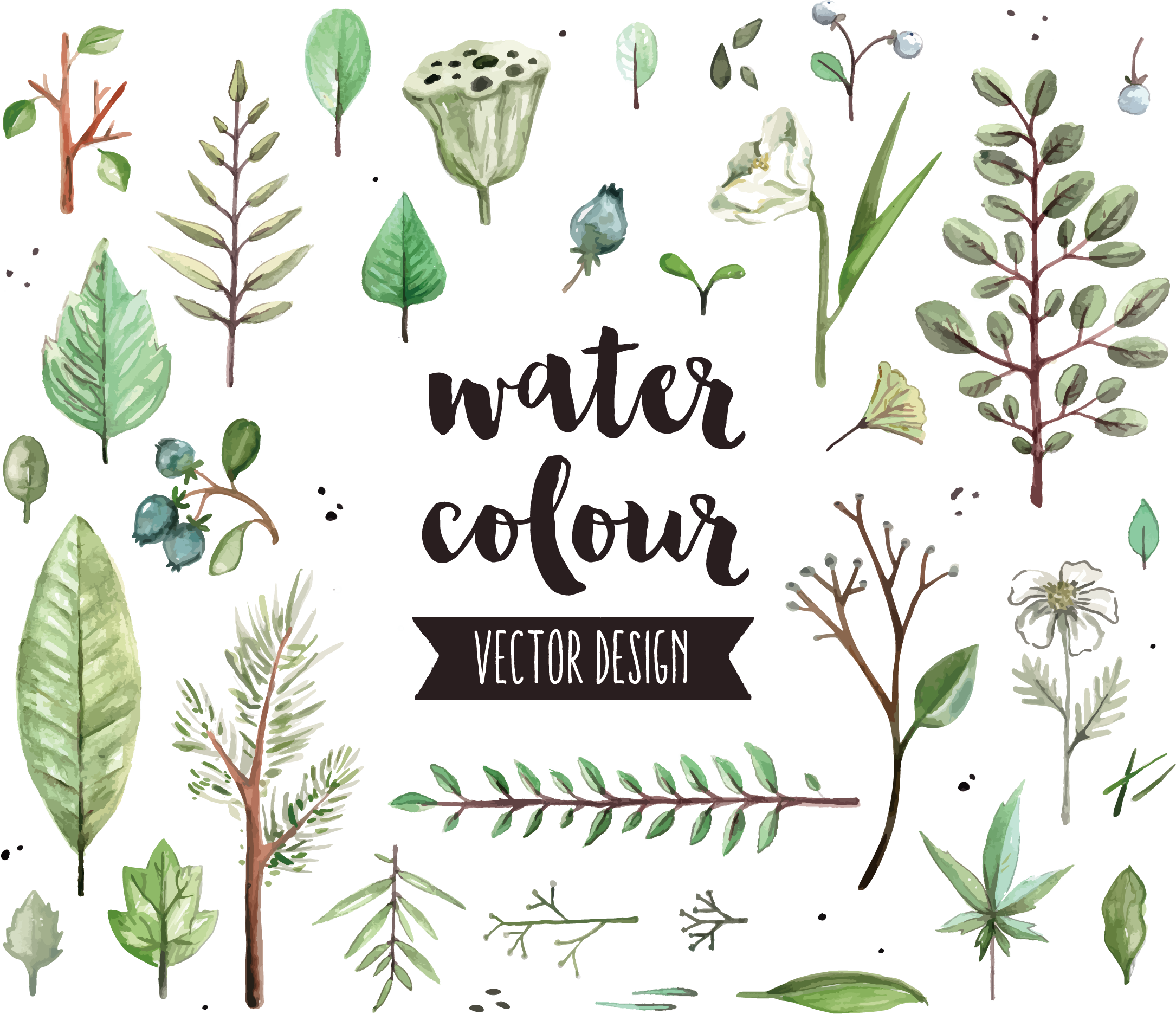 Watercolor Painting Leaf Icon - Gypsophila And Succulents Vector (2170x1871), Png Download