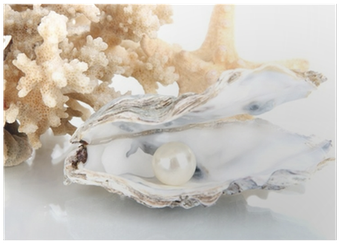 Open Oyster With Pearl Isolated On White Poster • Pixers® - Pearl (400x400), Png Download
