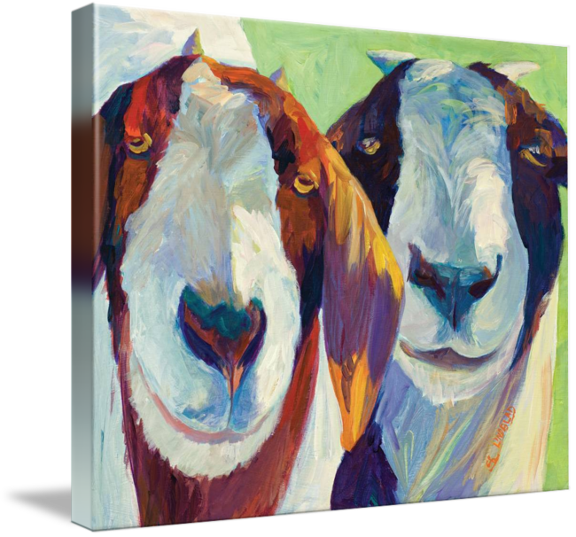 "happy Goats" By Sandy Lindblad - Gallery-wrapped Canvas Art Print 10 X 8 Entitled Happy (650x606), Png Download