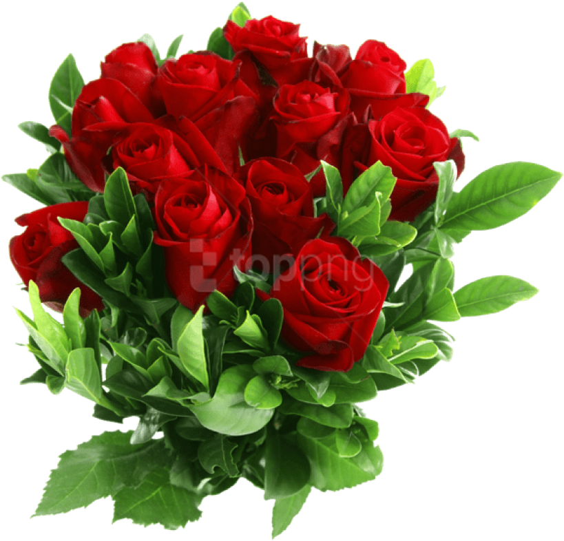 Red Rose Png Clipart - Flowers Red Rose Png (736x702), Png Download