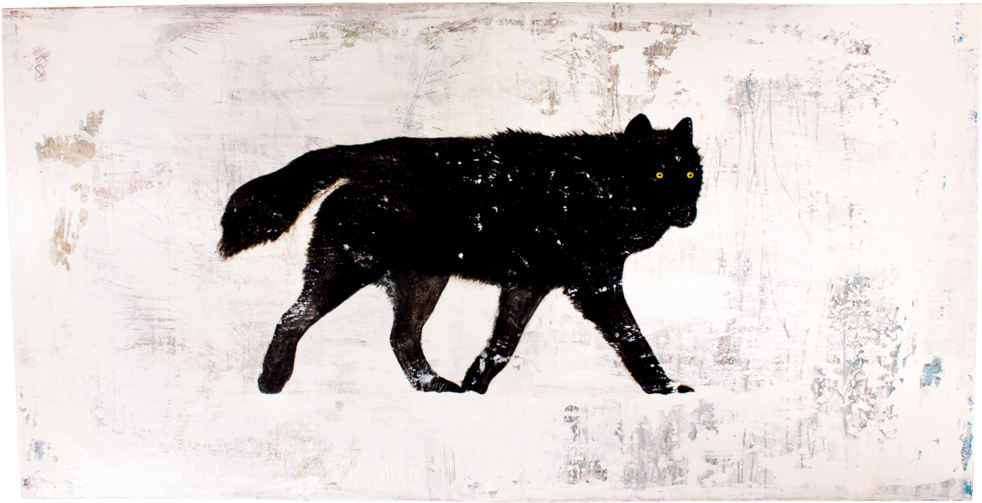 Wolf (1000x1000), Png Download