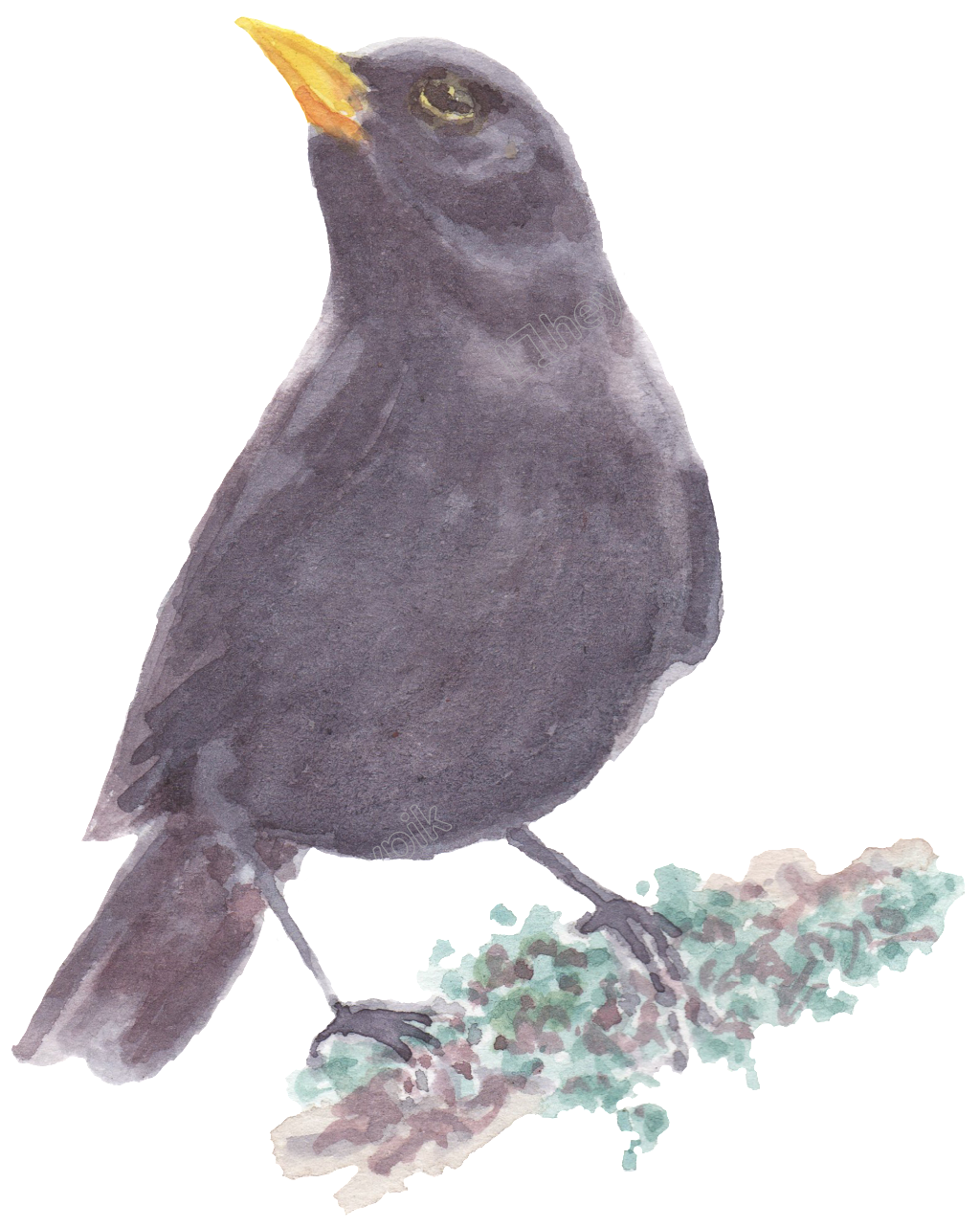 Picture Freeuse Black Bird Standing On A Branch Transparent - Painting (1024x1283), Png Download