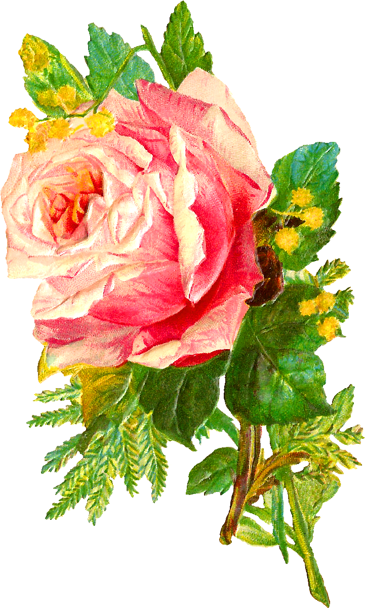 Flower Rose Image Bouquet Image Pink Png - Digital Bunch Of Flowers (809x1269), Png Download