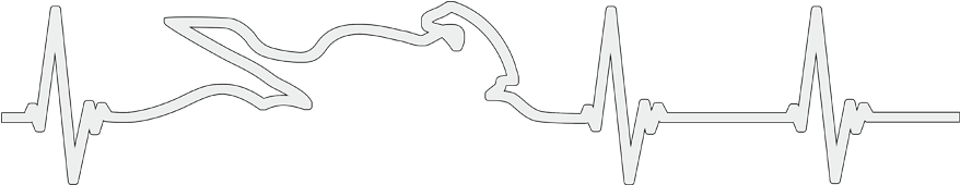 Motorcycle Heartbeat White - Motorcycle (893x543), Png Download