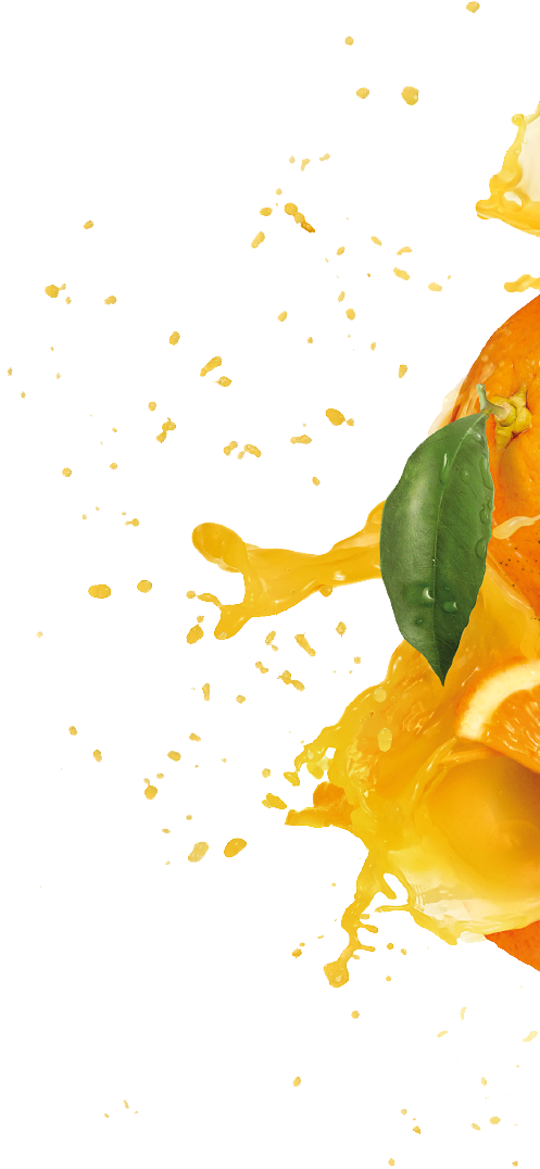 Burst Png (497x1076), Png Download